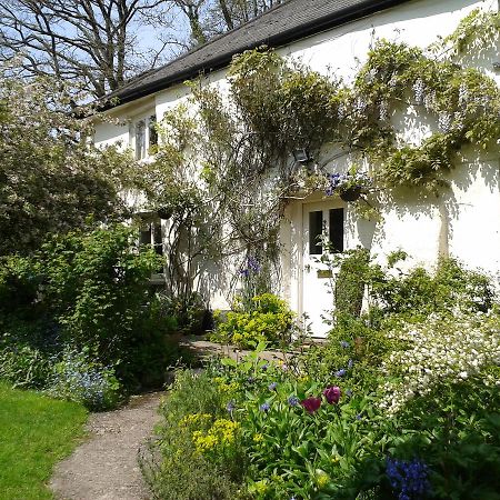 Tracebridge Cottage B&B Stawley Buitenkant foto