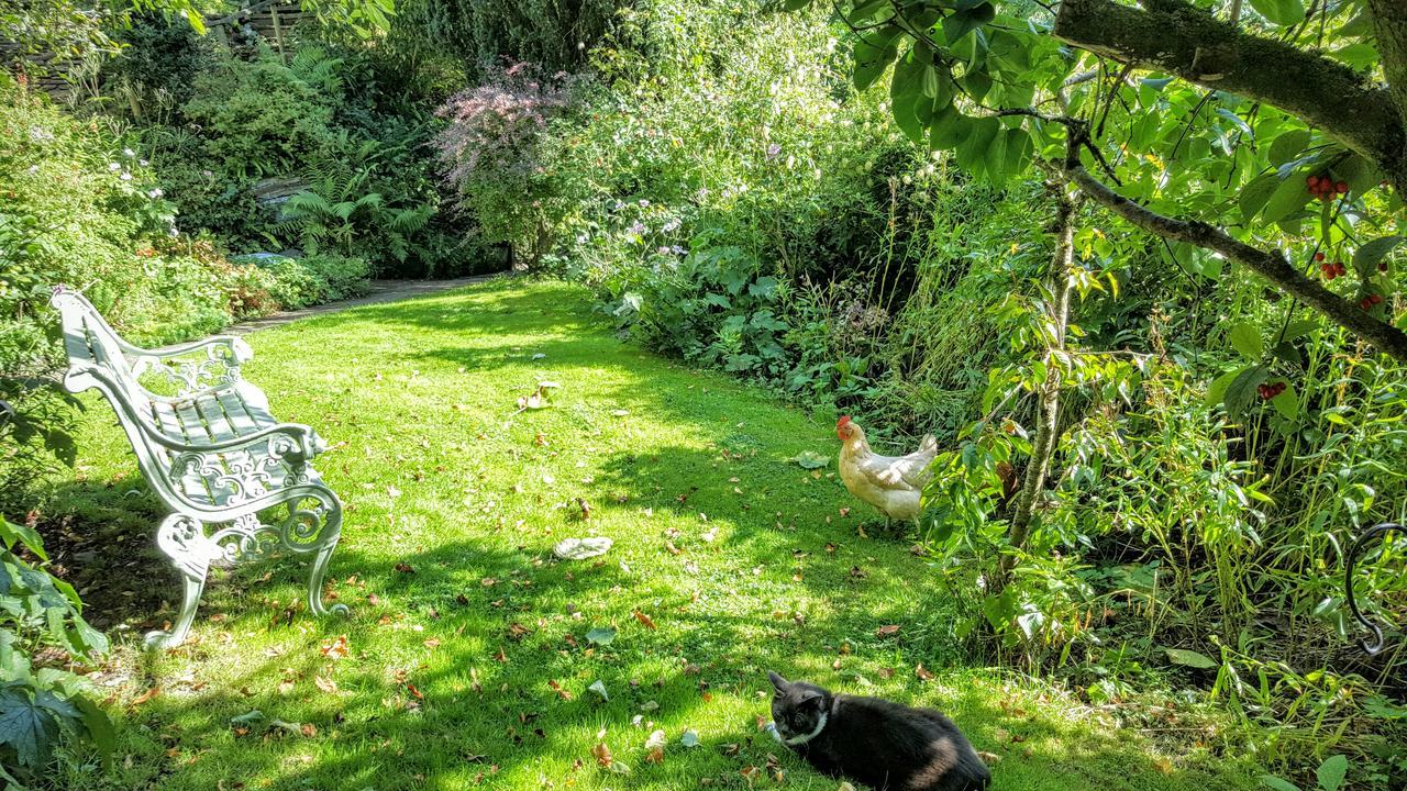 Tracebridge Cottage B&B Stawley Buitenkant foto