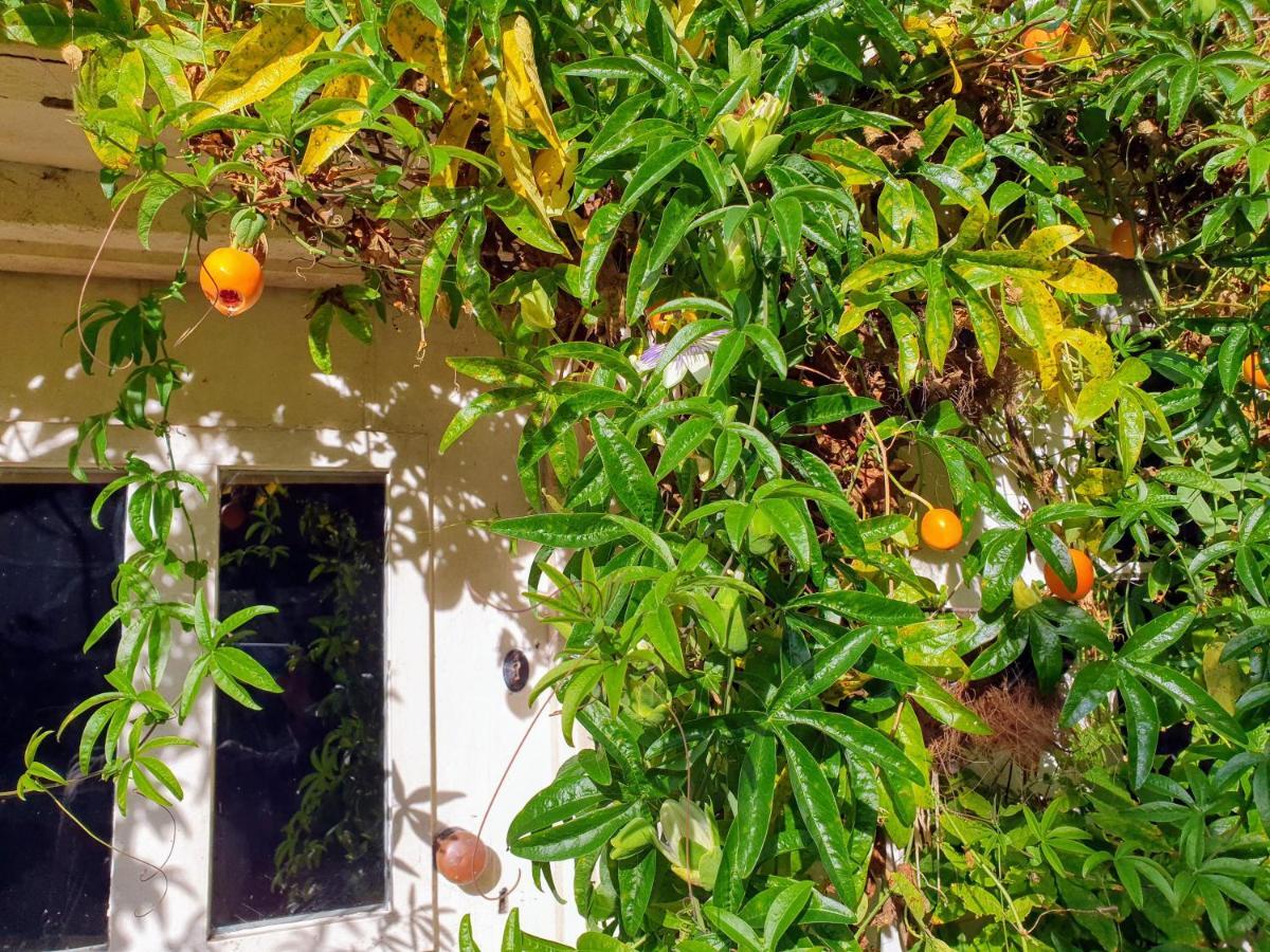 Tracebridge Cottage B&B Stawley Buitenkant foto